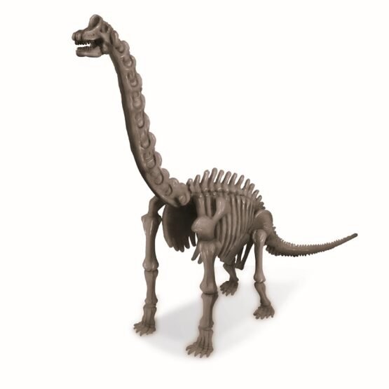 anaskafi-skeletou-deinosayrou-vrachiosayros-kidz-labs-4m-toys